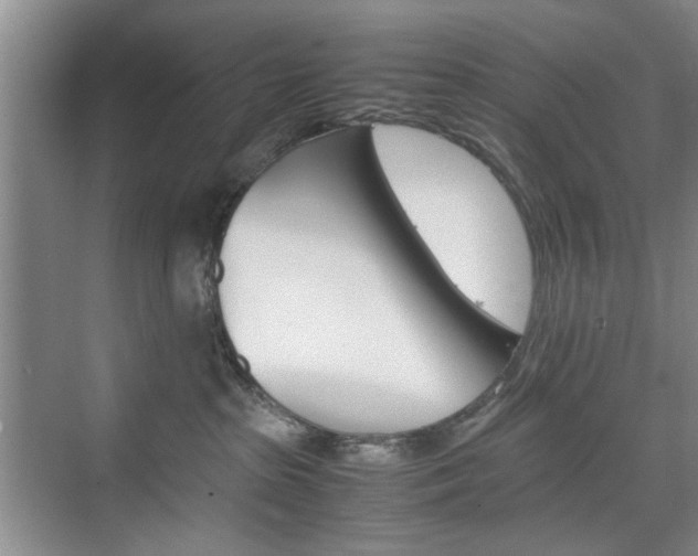 X0000074930285200609010927