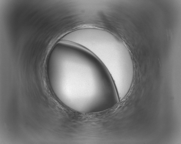 X0000074930289200609010926