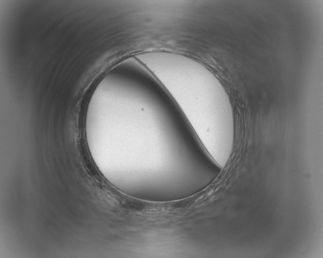 X0000074930291200609010926