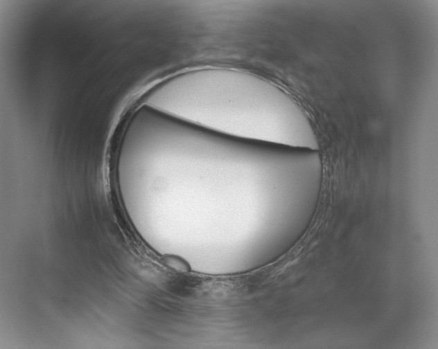 X0000074930294200609010926