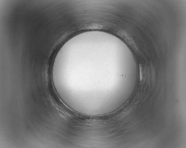 X0000074930300200609010926
