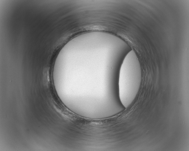 X0000074930302200609010926