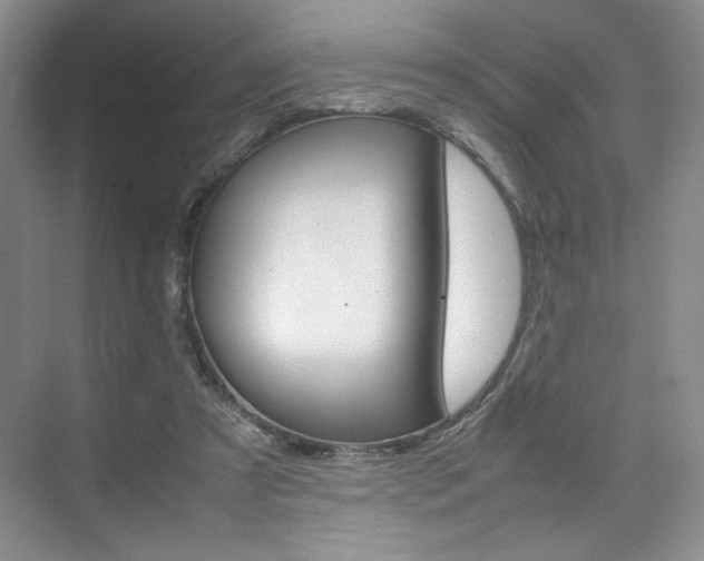 X0000074930305200609010926