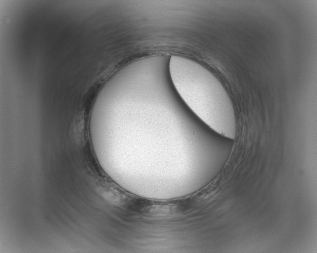 X0000074930314200609010926