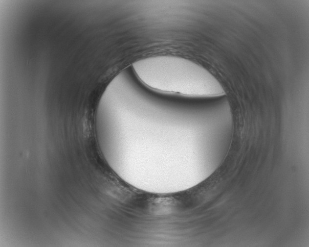 X0000074930324200609010926