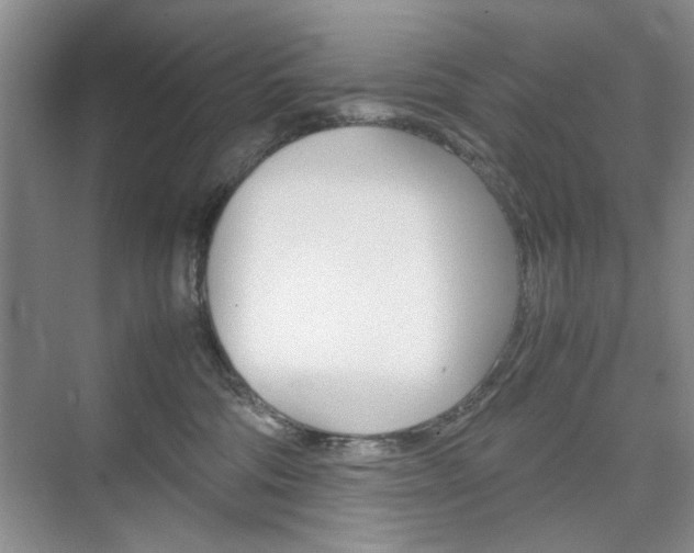 X0000074930330200609010925