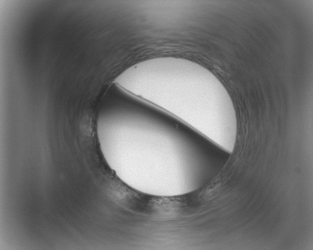 X0000074930331200609010925