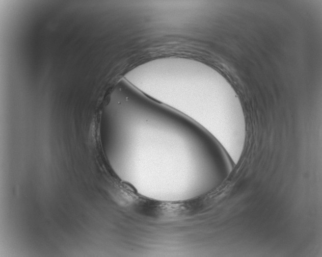 X0000074930333200609010925