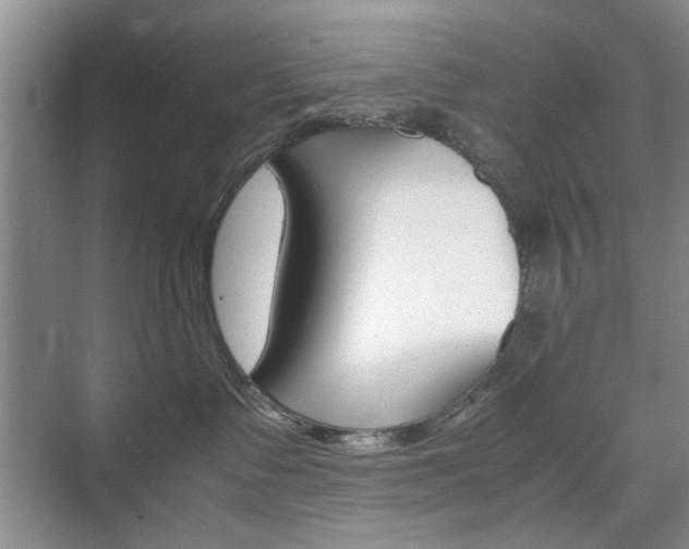 X0000074930335200609010925