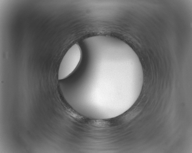 X0000074930336200609010925
