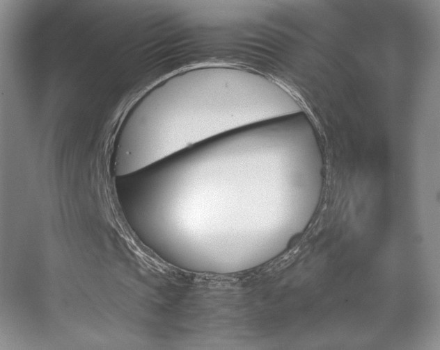 X0000074930337200609010925