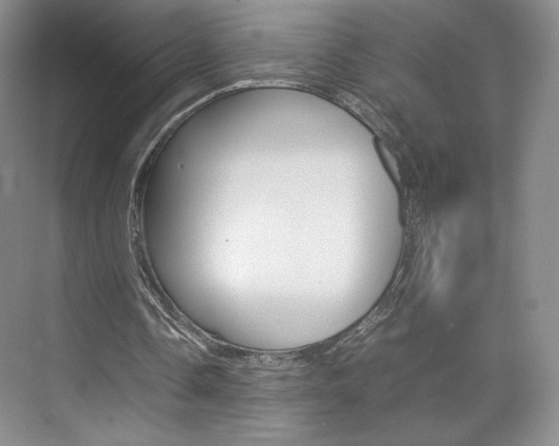 X0000074930338200609010925