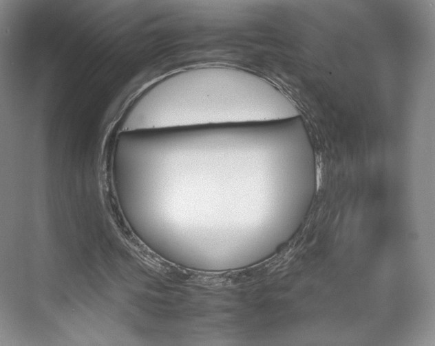 X0000074930339200609010925