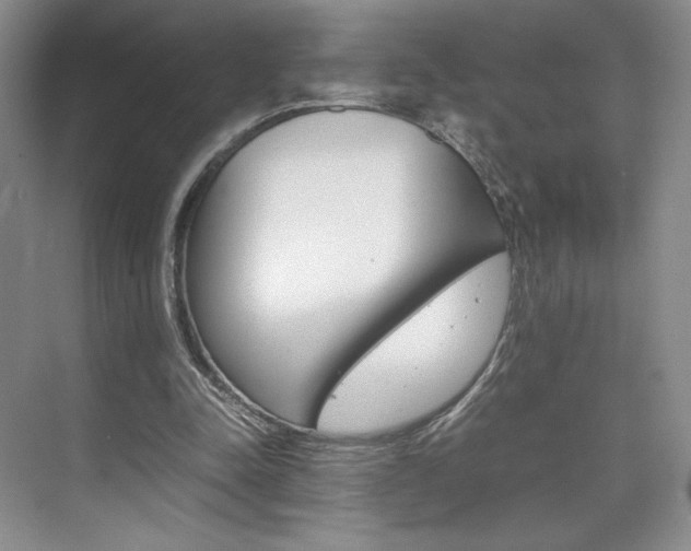 X0000074930342200609010925