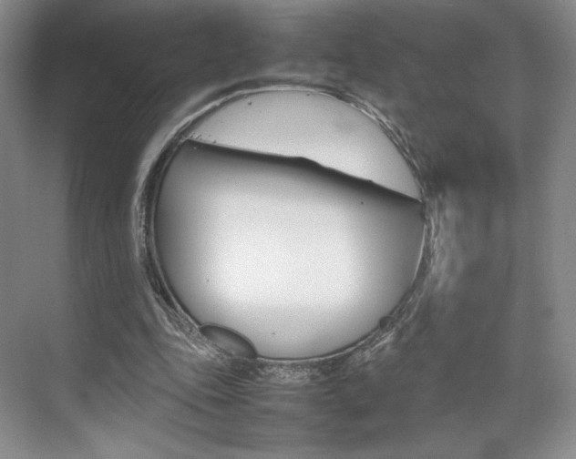 X0000074930343200609010925