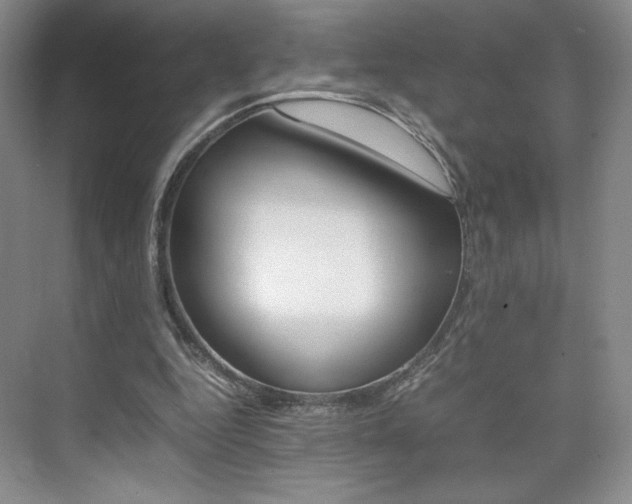 X0000074930344200609010925