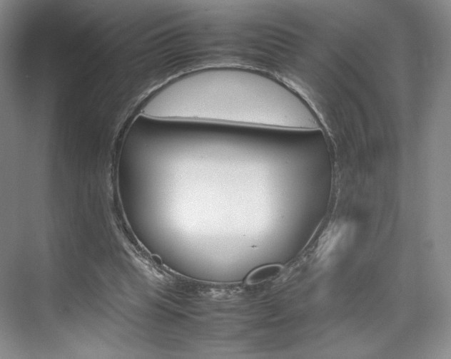 X0000074930345200609010925
