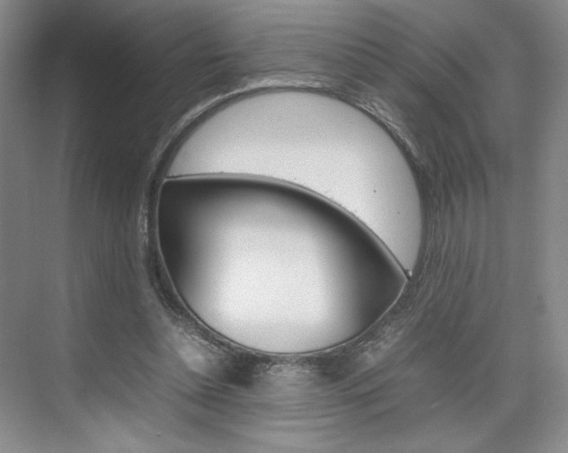 X0000074930348200609010925