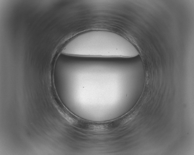 X0000074930349200609010925