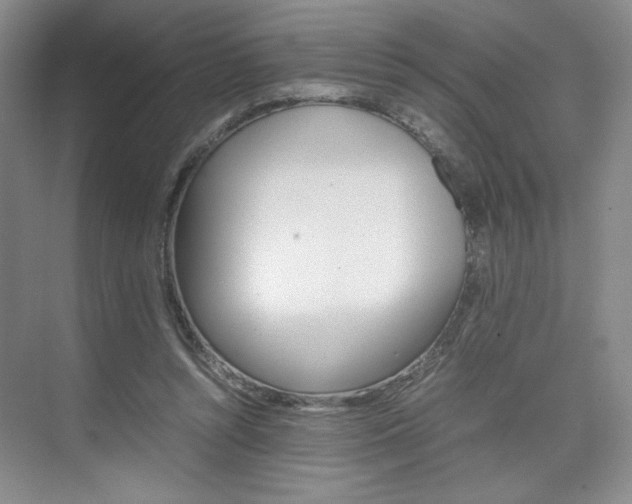 X0000074930352200609010925