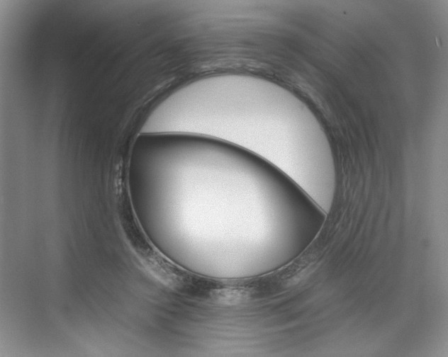 X0000074930356200609010925