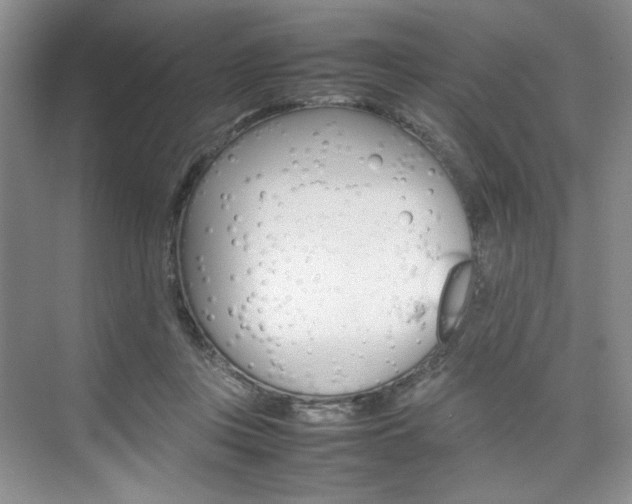 X0000074930359200609010925