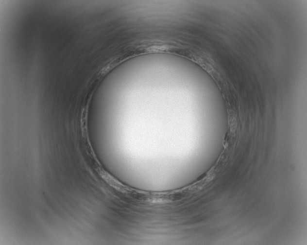 X0000074930360200609010925