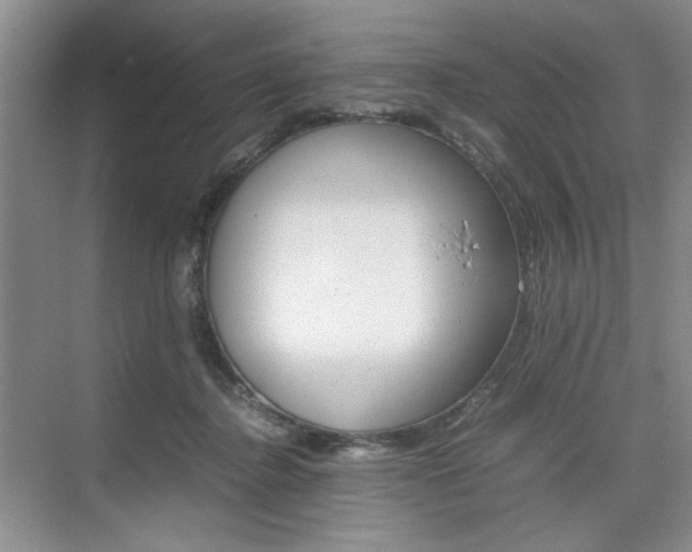 X0000074930364200609010925