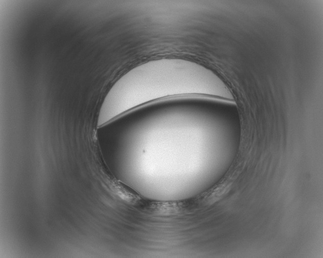 X0000074930384200609010925
