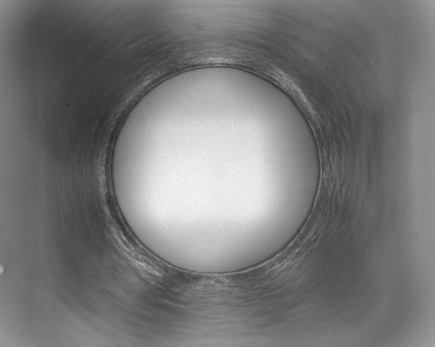 X0000074930386200609010925