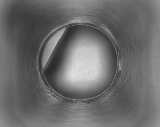 X0000074930387200609010925