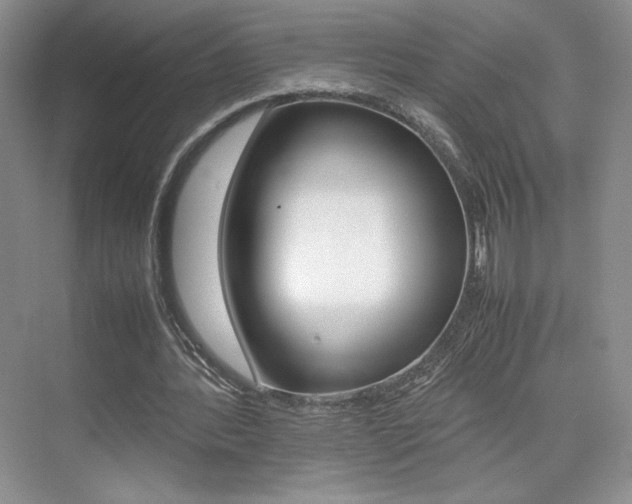 X0000074930388200609010925