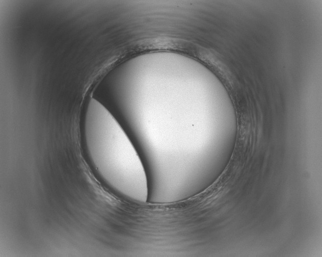 X0000074930394200609010924