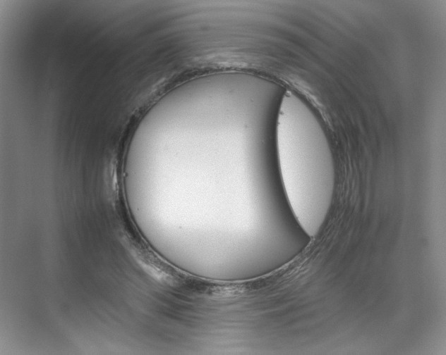 X0000074930398200609010924