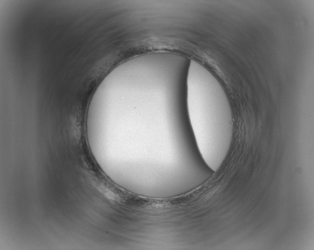 X0000074930402200609010924