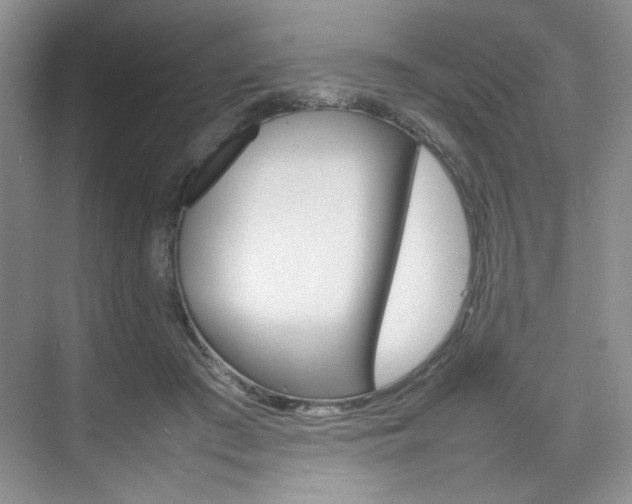 X0000074930409200609010924