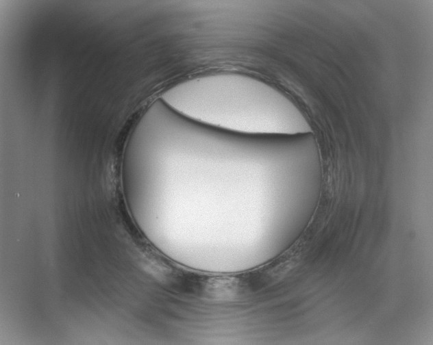 X0000074930410200609010924