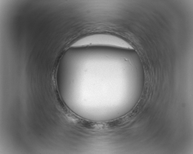 X0000074930415200609010924