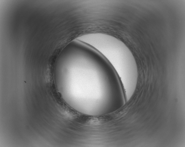 X0000074930416200609010924