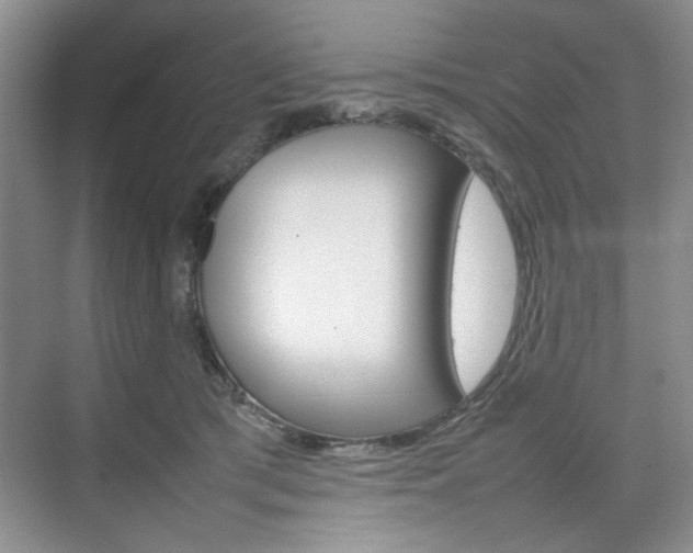 X0000074930417200609010924