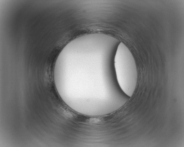 X0000074930418200609010924