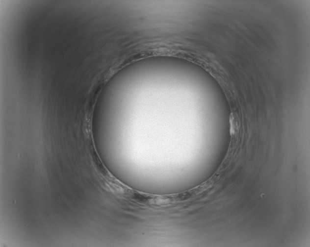 X0000074930419200609010924