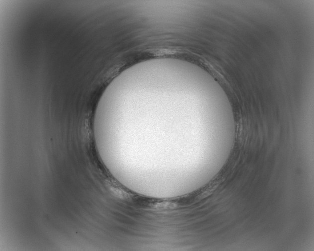 X0000074930426200609010924