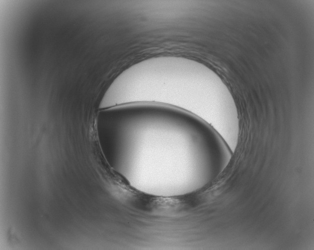 X0000074930429200609010924