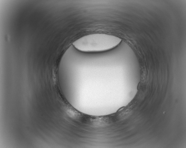 X0000074930430200609010924