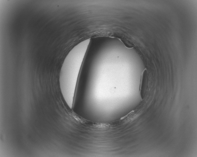 X0000074930432200609010924