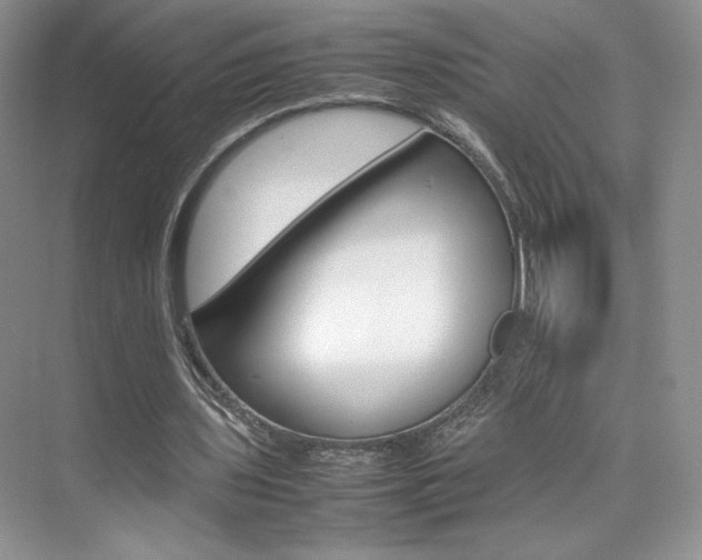 X0000074930435200609010923