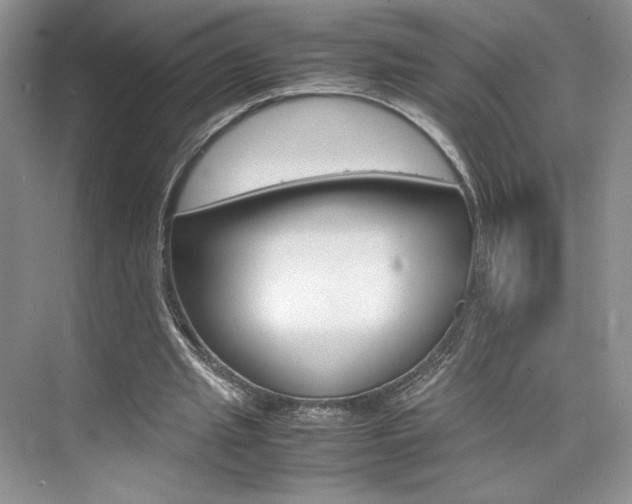 X0000074930437200609010923