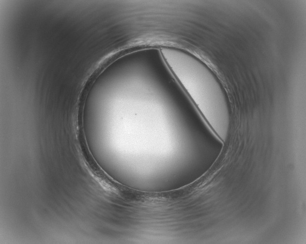 X0000074930438200609010923