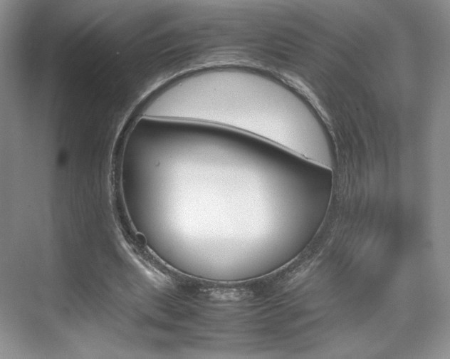 X0000074930439200609010923